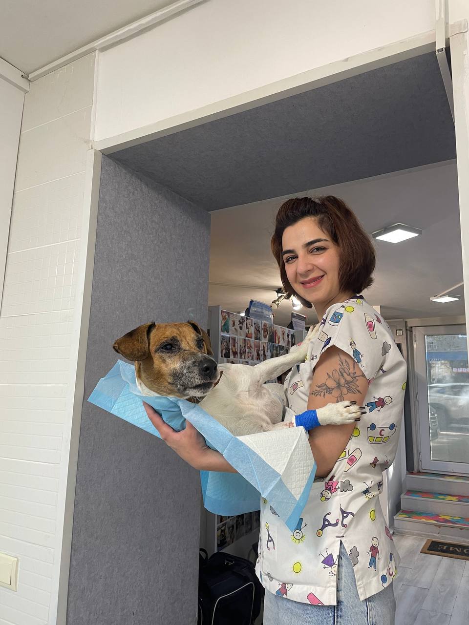Large mixed-breed dog getting a check-up with a stethoscope