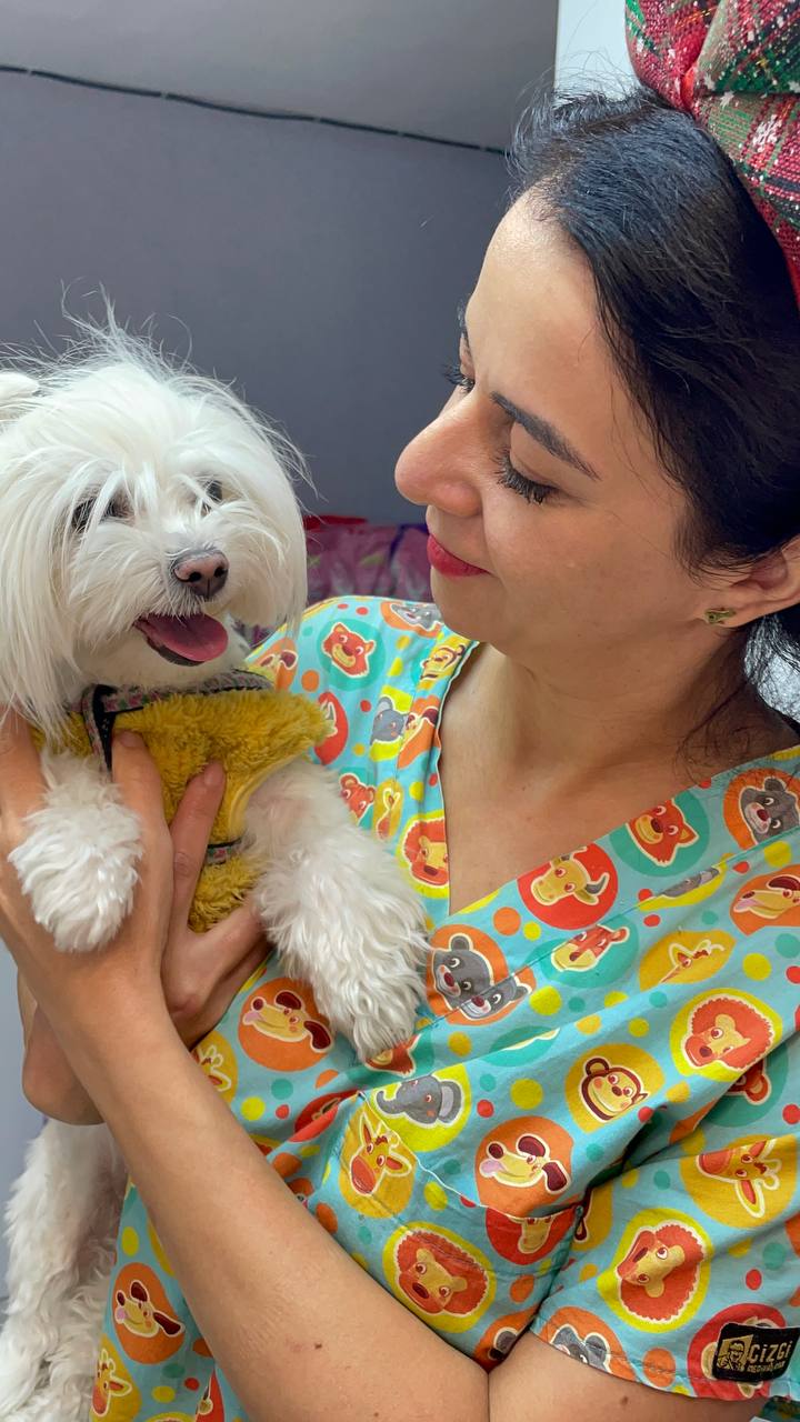 Vet in animal-print scrubs cuddling a small white fluffy dog
