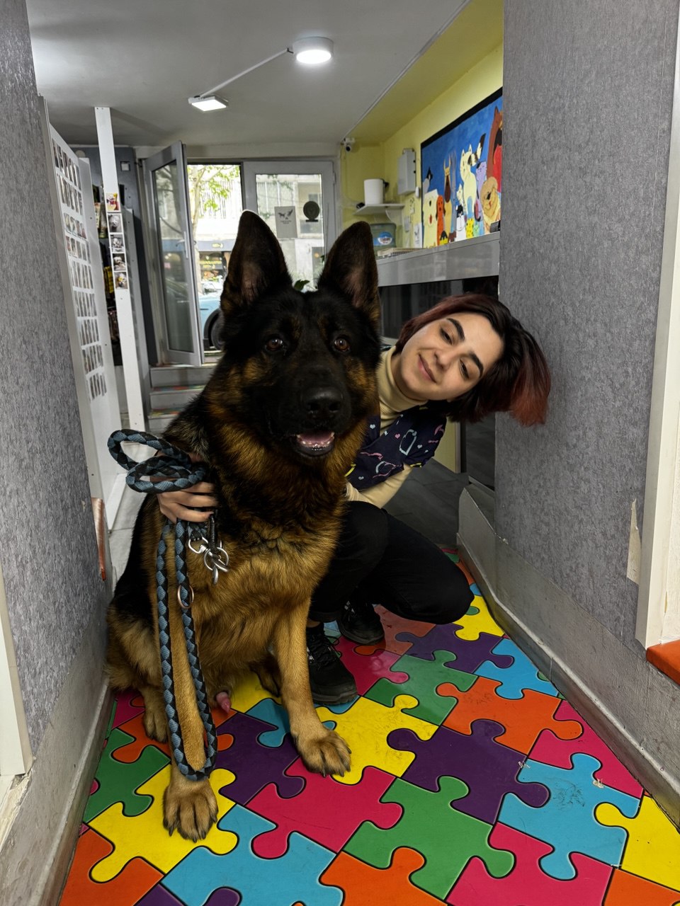 German Shepherd with a clinic staff member at the colourful entrance
