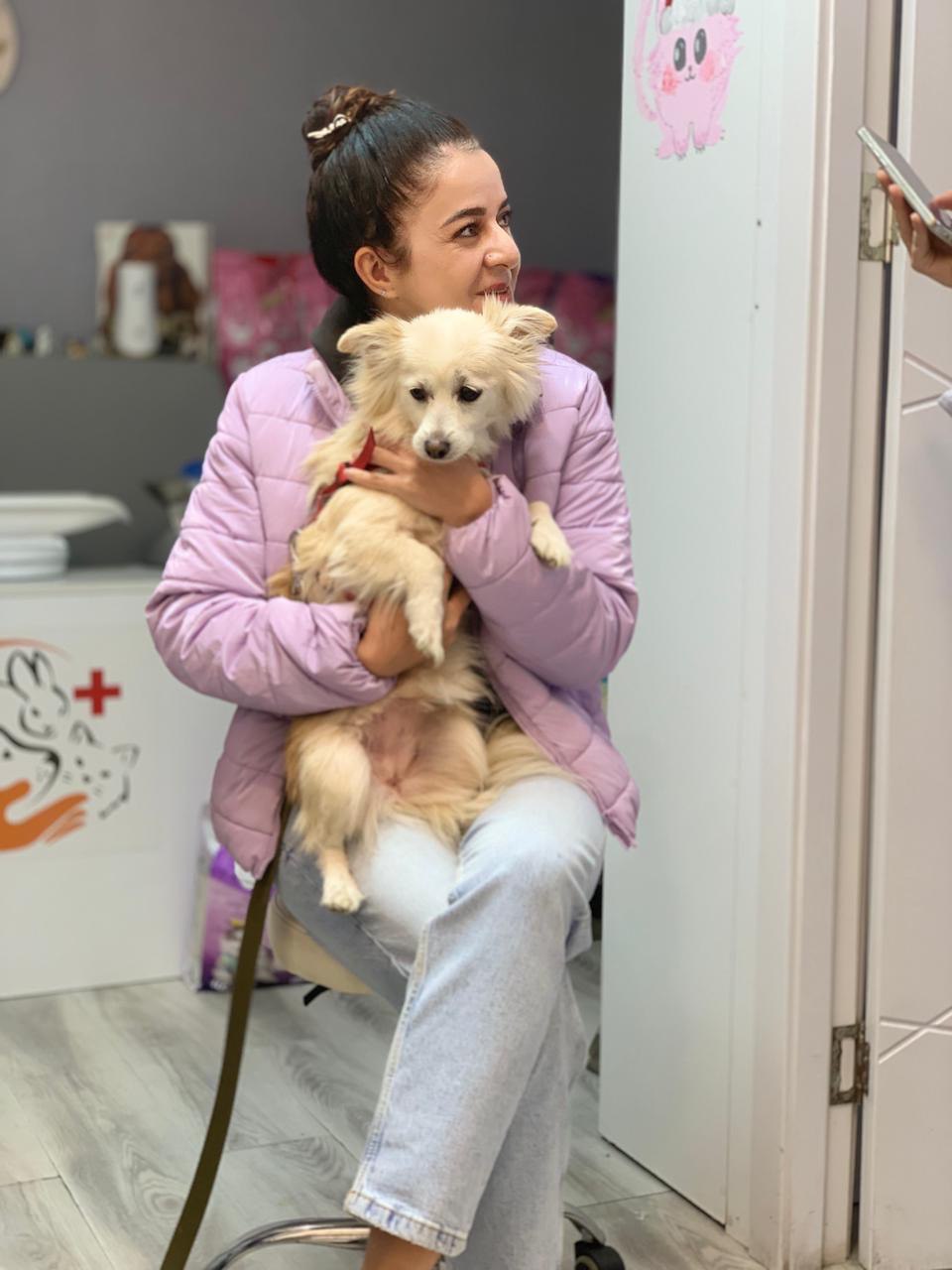 Staff member cradling a small cream Pomeranian mix in a pink jacket