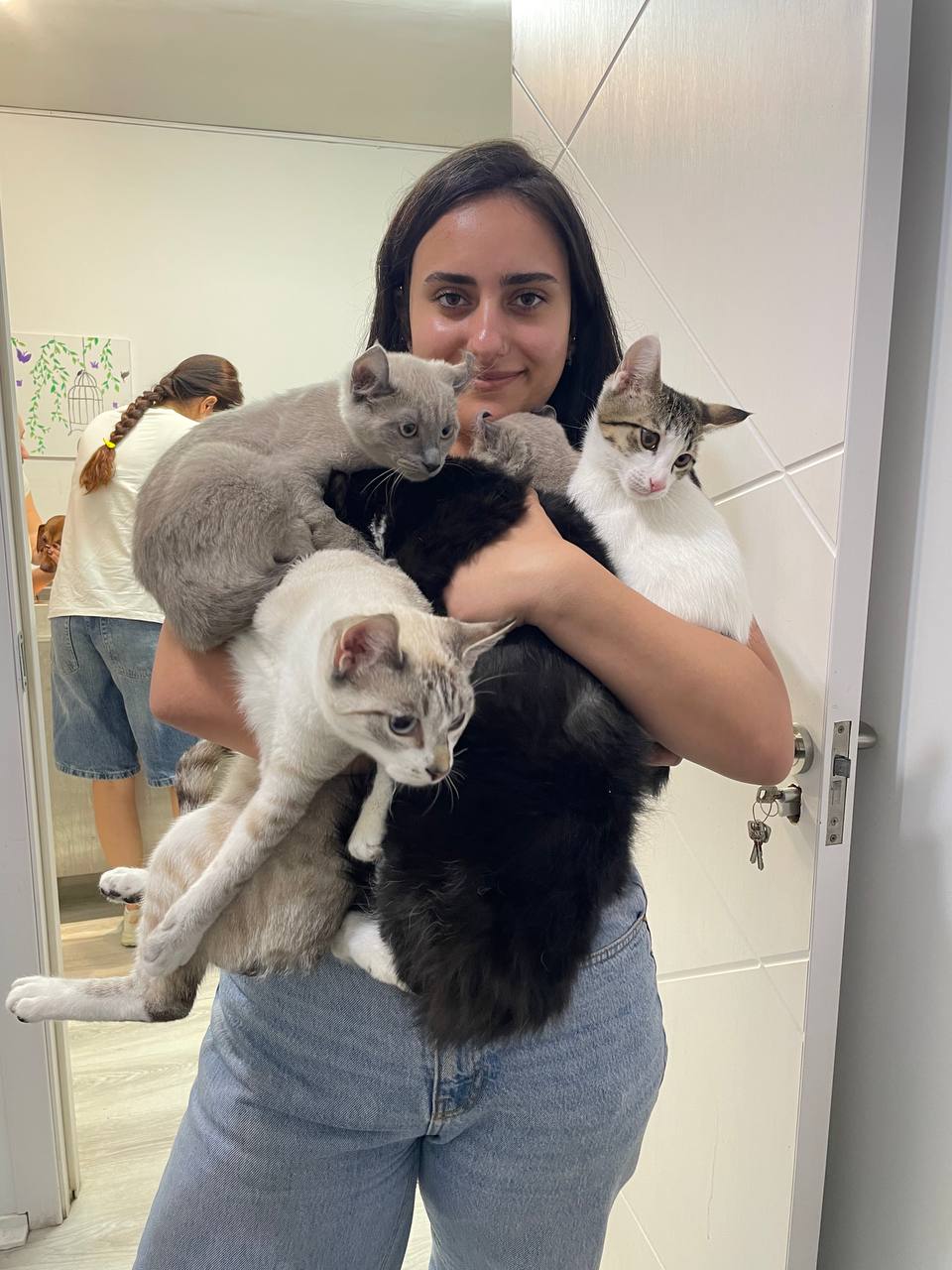 Staff member holding four kittens of different colours at once