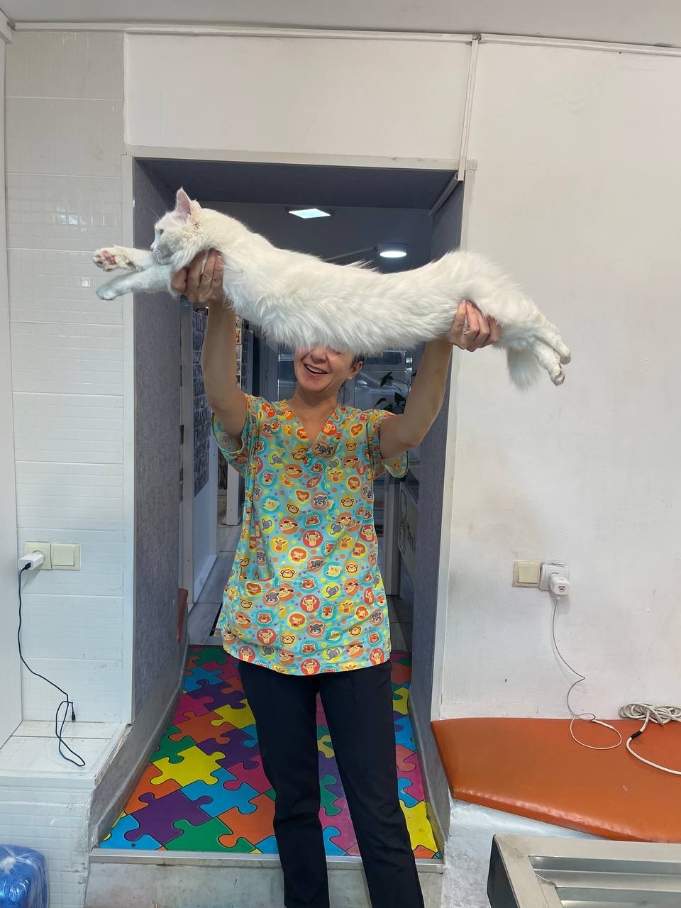 Vet laughing while holding a long-haired white cat stretched out overhead