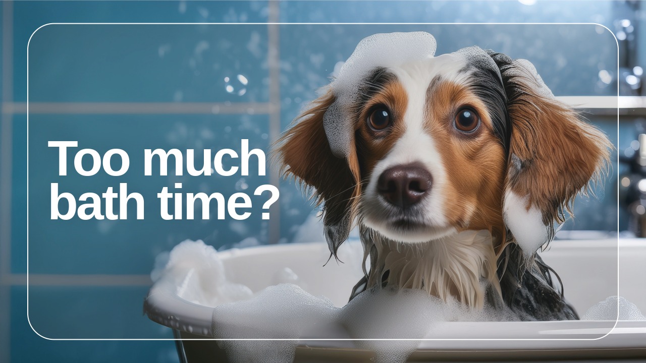 Too_much_bath.jpeg